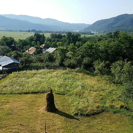 Pensiunea Adeluta Apartament Călimăneşti 外观 照片