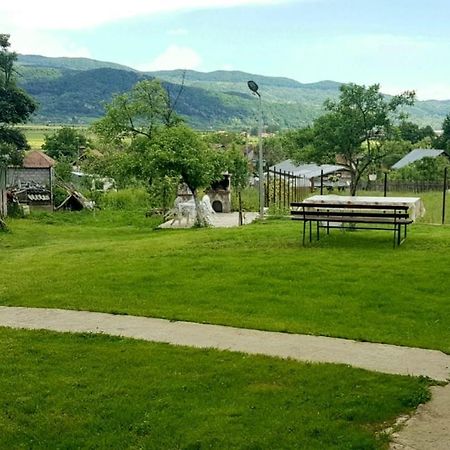 Pensiunea Adeluta Apartament Călimăneşti 外观 照片