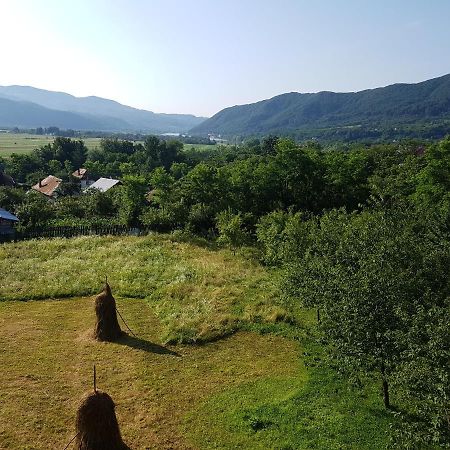 Pensiunea Adeluta Apartament Călimăneşti 外观 照片
