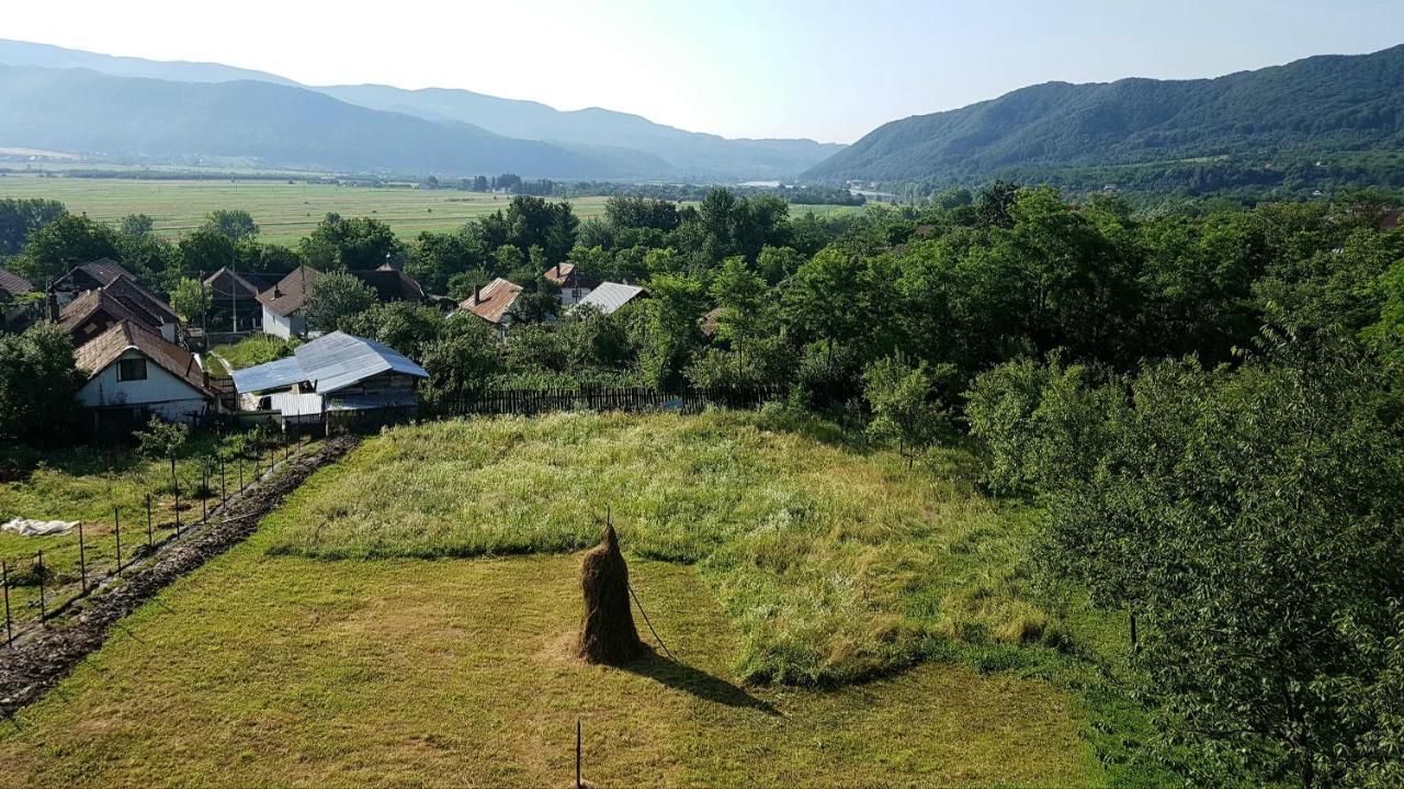 Pensiunea Adeluta Apartament Călimăneşti 外观 照片