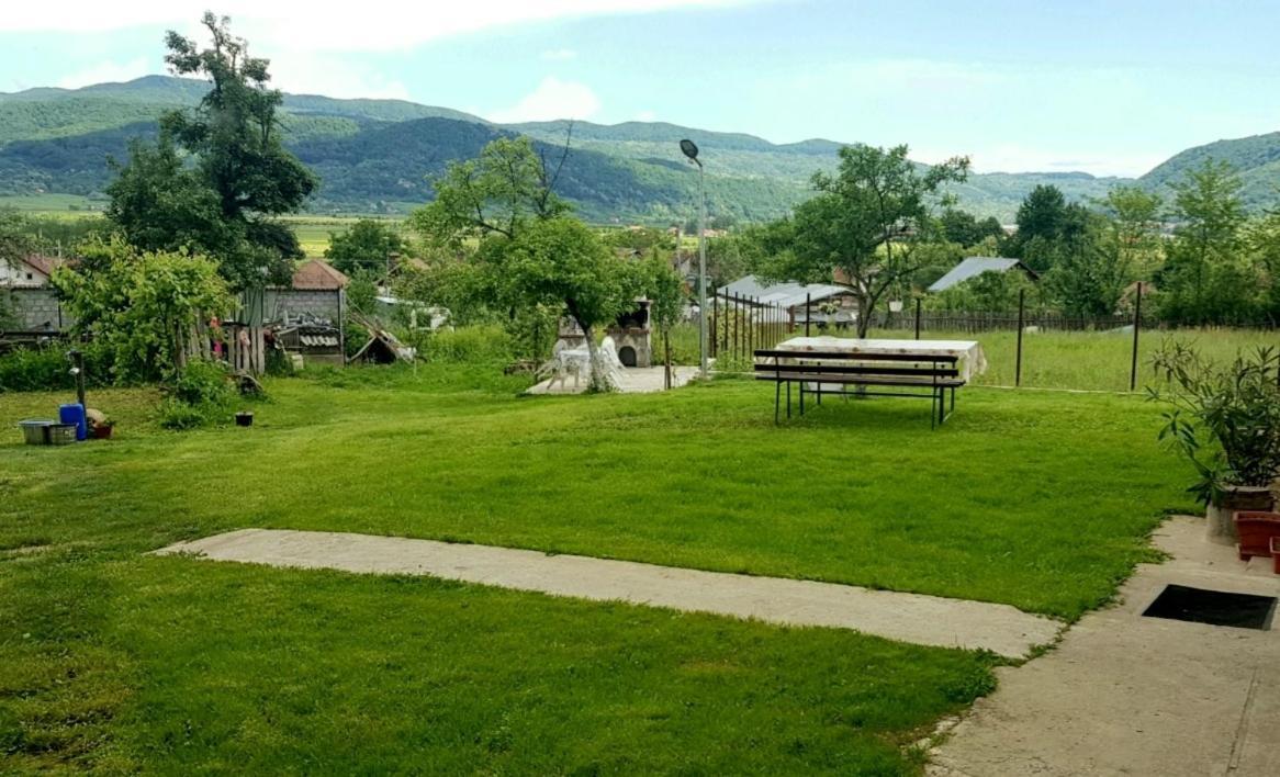 Pensiunea Adeluta Apartament Călimăneşti 外观 照片