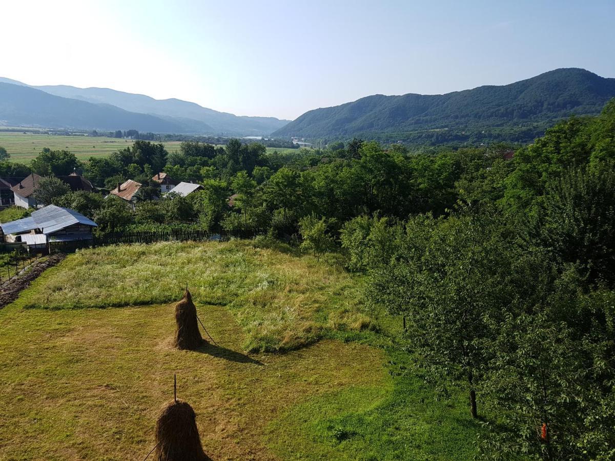 Pensiunea Adeluta Apartament Călimăneşti 外观 照片